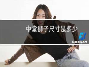 中堂狮子尺寸是多少