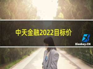 中天金融2022目标价