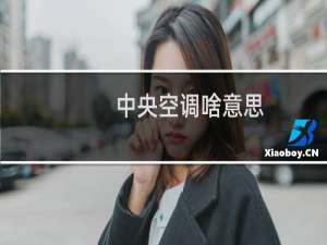 中央空调啥意思