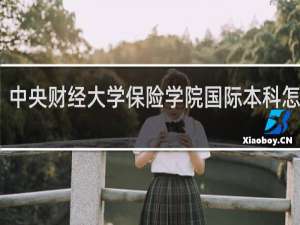 中央财经大学保险学院国际本科怎么样