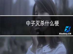 中子灭杀什么梗