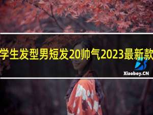 中学生发型男短发 帅气2023最新款