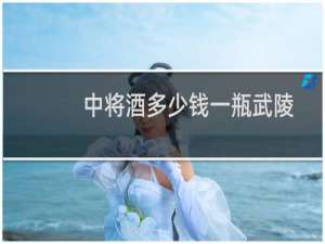 中将酒多少钱一瓶武陵