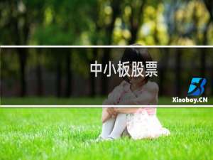 中小板股票