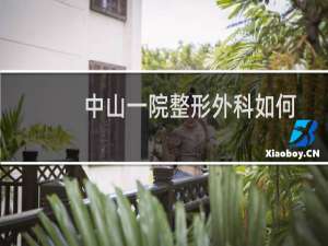 中山一院整形外科如何