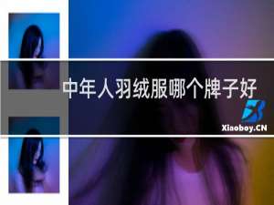 中年人羽绒服哪个牌子好