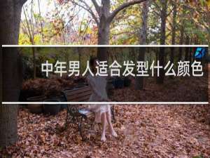 中年男人适合发型什么颜色
