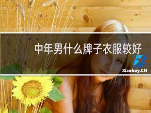 中年男什么牌子衣服较好
