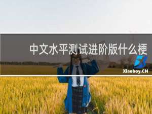 中文水平测试进阶版什么梗
