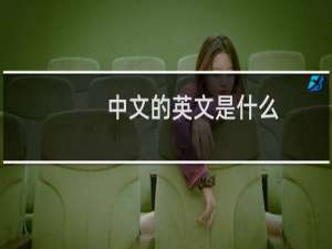 中文的英文是什么