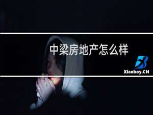 中梁房地产怎么样