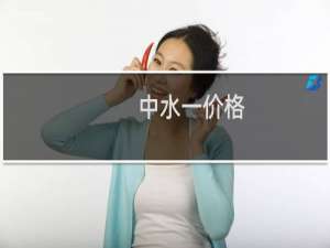 中水一价格