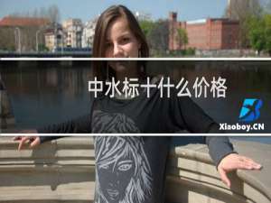 中水标十什么价格