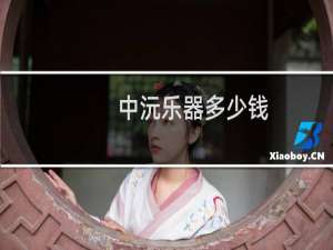 中沅乐器多少钱