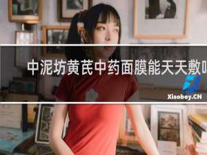 中泥坊黄芪中药面膜能天天敷吗