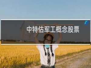 中特估军工概念股票