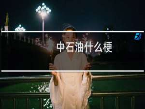 中石油什么梗