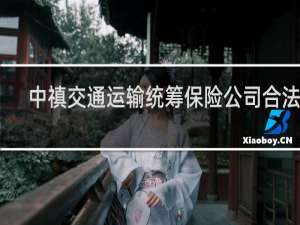 中禛交通运输统筹保险公司合法吗