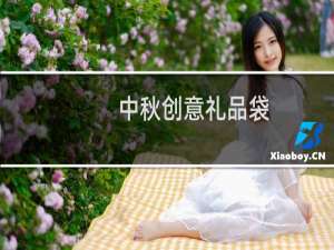中秋创意礼品袋