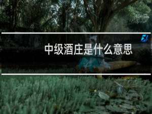 中级酒庄是什么意思