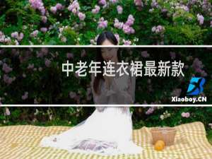 中老年连衣裙最新款