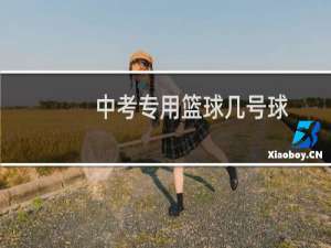 中考专用篮球几号球