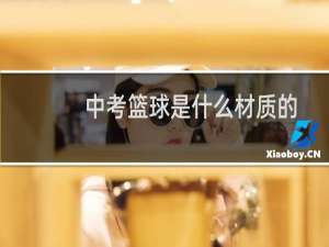 中考篮球是什么材质的