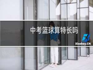 中考篮球算特长吗