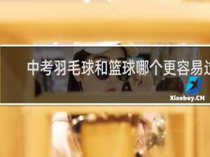 中考羽毛球和篮球哪个更容易过