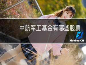 中航军工基金有哪些股票