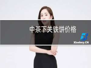 中茶下关铁饼价格
