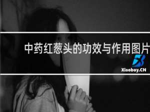 中药红葱头的功效与作用图片