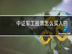 中证军工股票怎么买入的