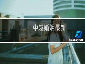 中越婚姻最新