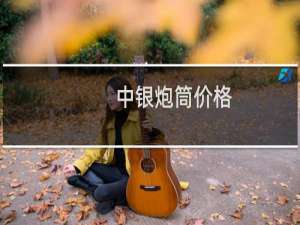 中银炮筒价格