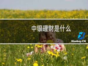 中银理财是什么
