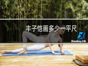 丰子恺画多少一平尺