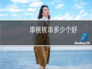 串桃核串多少个好
