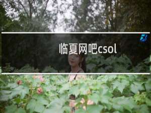 临夏网吧csol