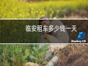 临安租车多少钱一天
