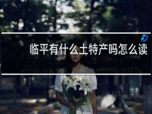 临平有什么土特产吗怎么读