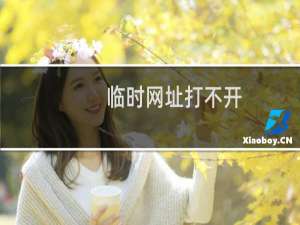 临时网址打不开，帮忙看一下