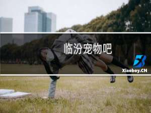 临汾宠物吧