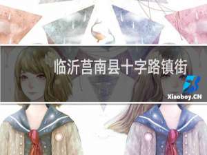 临沂莒南县十字路镇街道领导班子（临沂莒南县十大特产）