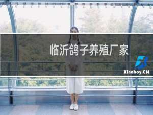 临沂鸽子养殖厂家