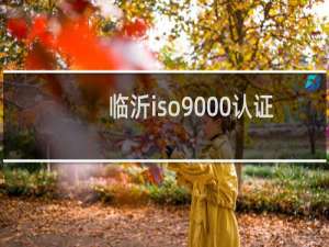 临沂iso9000认证