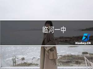 临河一中