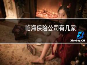 临海保险公司有几家