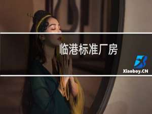 临港标准厂房