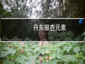 丹东银杏元素